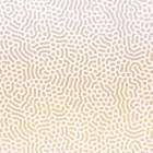 Organic Desert 3 Art Print