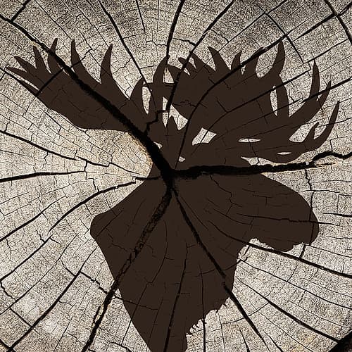 Woods Silhouette 2 Leisure Print