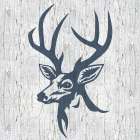 Deer Bark Art Print