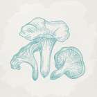Mushroom Love 1 Art Print