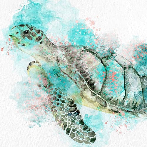 Turtle Swim Coastal Print