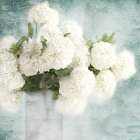 Hydrangeas Art Print