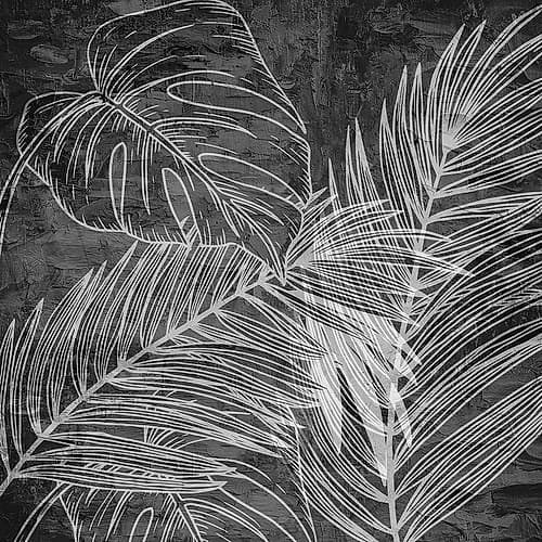 Black And White Palm 2 Art Print by Kimberly Allen