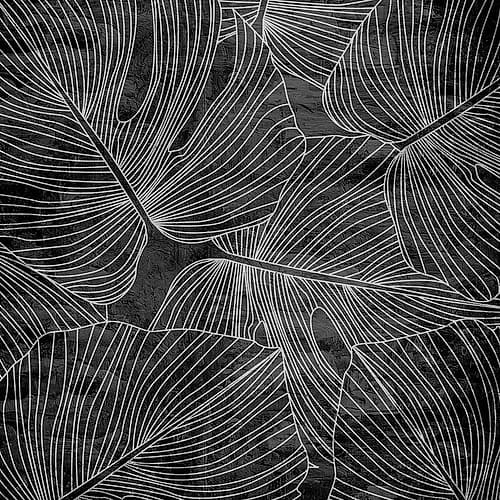Monstera 2 Art Print by Kimberly Allen