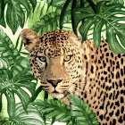 Jungle Eyes 2 Art Print