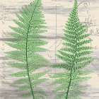 Postage Green 1 Botanical Print