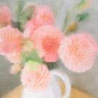 Pink Carnations Art Print