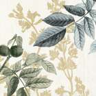 Branched Out 1 Botanical Print