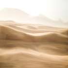 Desert Art Print
