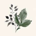 Painted Leaves 1 Botanical Print