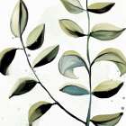 Muted Greens 1 Botanical Print