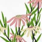 Daisies 2 Art Print