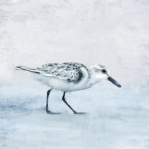 Sandpiper 1 Art Print
