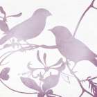 Tweet 1 Art Print