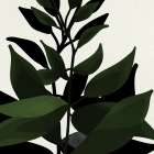 Leaf Press 1 Botanical Print