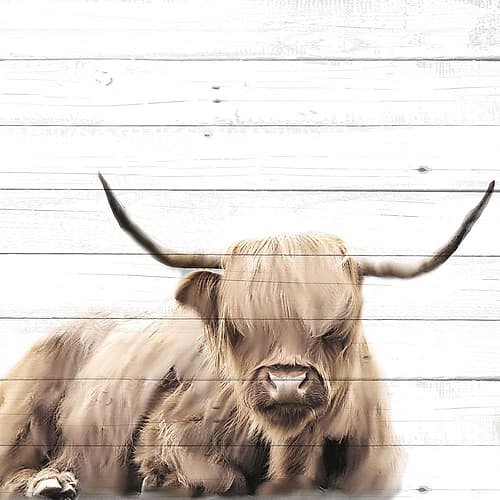 Highland V2 Art Print by Kimberly Allen