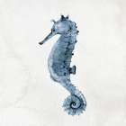 Ocean Life 1 Art Print
