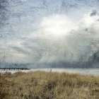Moody Beach Day Art Print