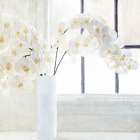 Orchid Stems Art Print