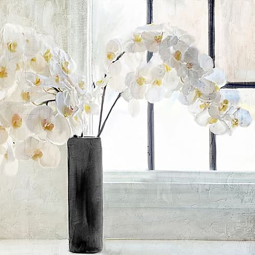 Orchid Window Art Print