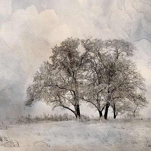 Winter Frost 2 Nature Print