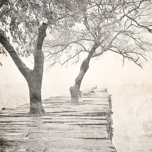 Tree Pier Nature Print