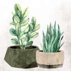 In Green 1 Still Life Print