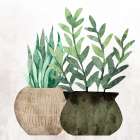 In Green 2 Still Life Print