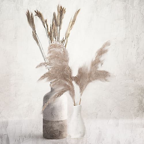 Dried Vases Nature Print