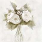 White Peonies Art Print