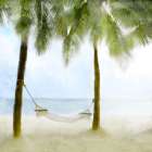 Nap On The Beach Coastal Print