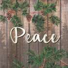Peace 1 Art Print