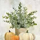 Potted With Pumpkins Art Print