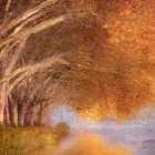 Autumn Reflection Art Print