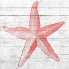 Coral Sea 1 Art Print