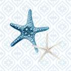 Starfish Tours Pattern Art Print