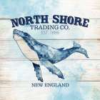 North Shore Art Print