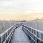 Wooden Pier Landscape Print