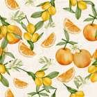 Citrus Fruit Pattern Art Print