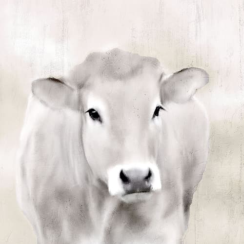Lizzy Animaux reproduction