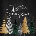 Tis The Season Pines Art Print