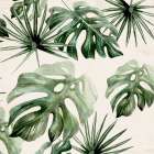 Palms Square 2 Art Print