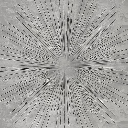 Burst Of Grey Art Print