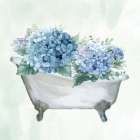 Hydrangea Bath 1 Art Print