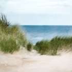 Sand Dunes Beach Art Print