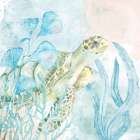 Sea Swim 1 Art Print