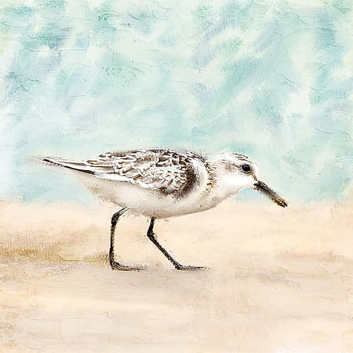 Sandpiper Walk 1 Beach Print