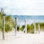 Pathway To The Beach Coastal Print