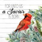 A Saviour Art Print