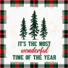Its The Most Wonderful Time Art Print